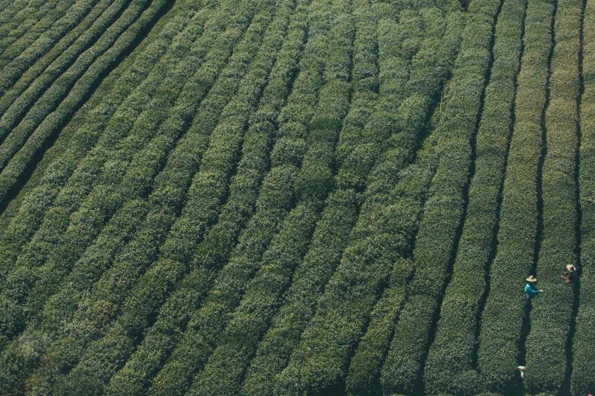 Atque laudantium sed laboriosam quos totam consequuntur